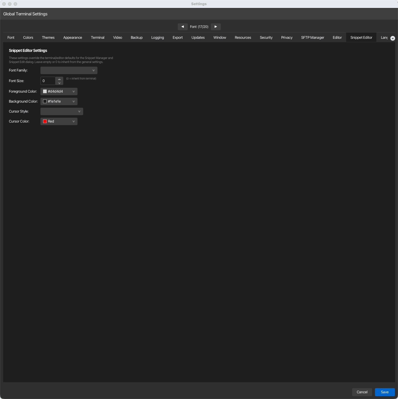 Snippet Editor settings tab
